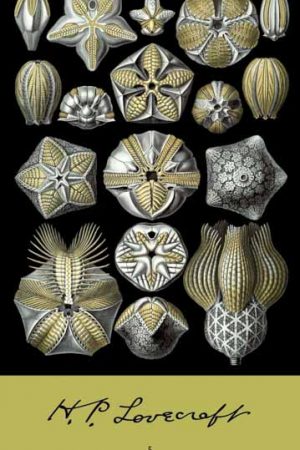 Ό,τι ψιθυρίζει στο σκοτάδι. Ο απαίσιος γέρος